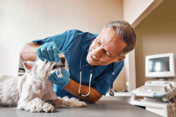 Best Emergency Wisdom Teeth Removal in Rossmoor, CA